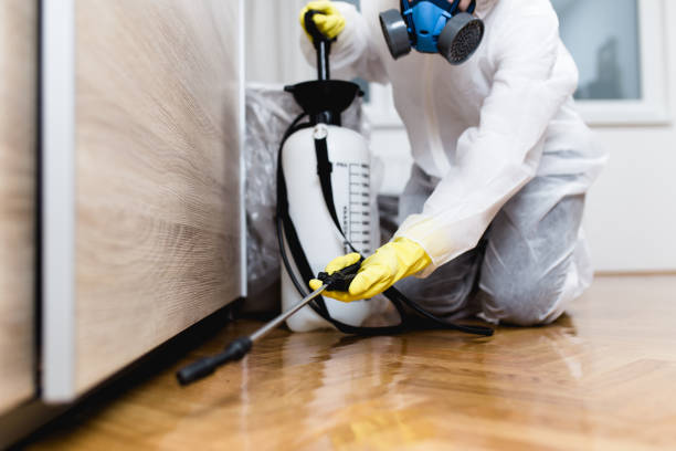 Best Pest Prevention Services  in Ogdensburg, NJ