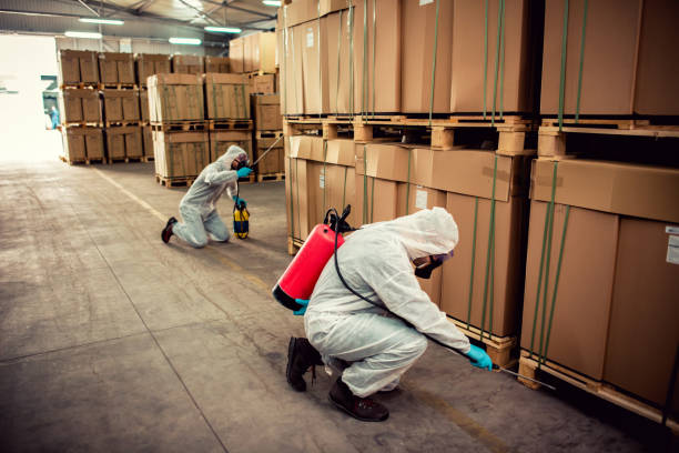 Best Mosquito Control Services  in Ogdensburg, NJ
