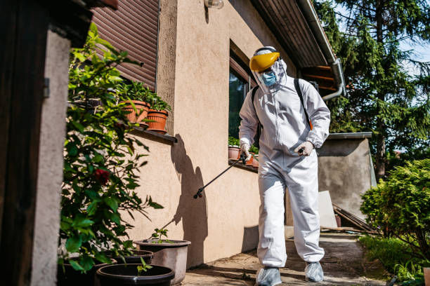 Best Termite Control Services  in Ogdensburg, NJ