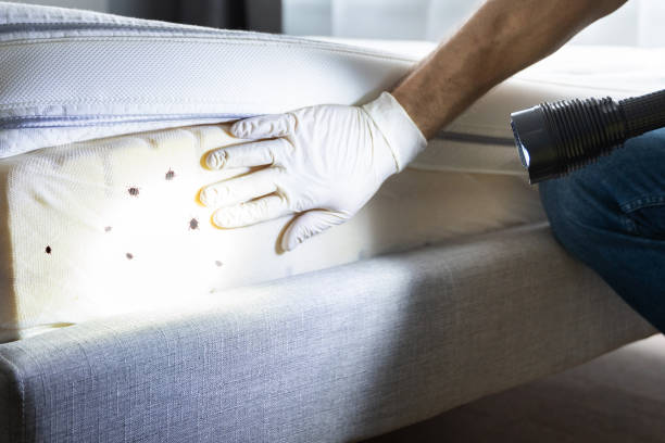 Best Cockroach Control Services  in Ogdensburg, NJ
