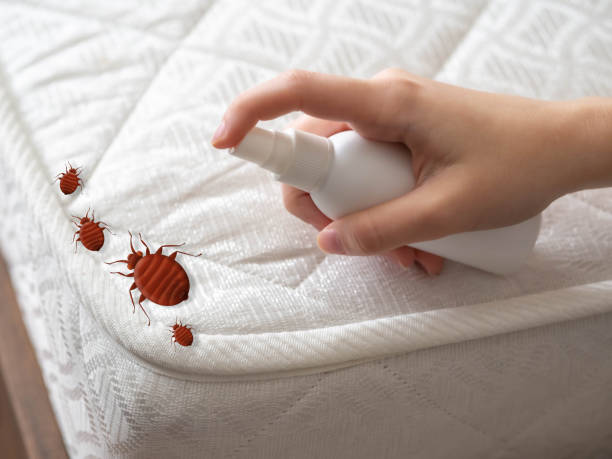 Trusted Ogdensburg, NJ Pest Control Experts