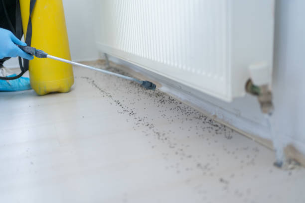 Best Pest Control for Homes  in Ogdensburg, NJ