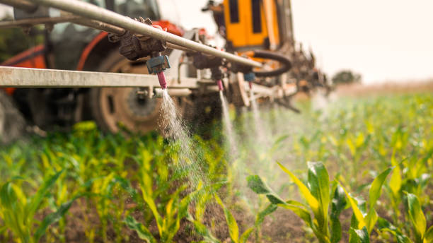 Best Wildlife Control Services  in Ogdensburg, NJ